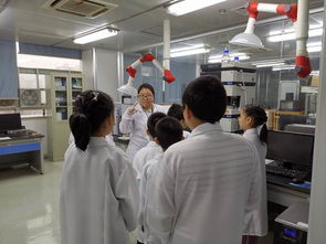 技術服務社會 科學實驗中心黨支部首屆少兒科普活動圓滿成功